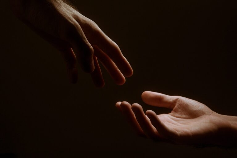jackson david cicbinoyb7u unsplash