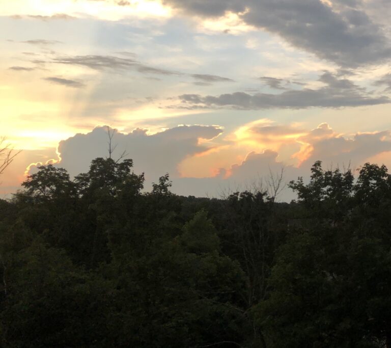 photo Credit Mary Shaw 2021
